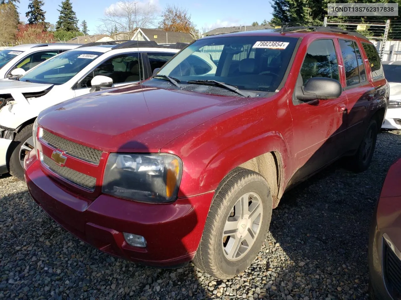 2006 Chevrolet Trailblazer Ls VIN: 1GNDT13S762317838 Lot: 78823854