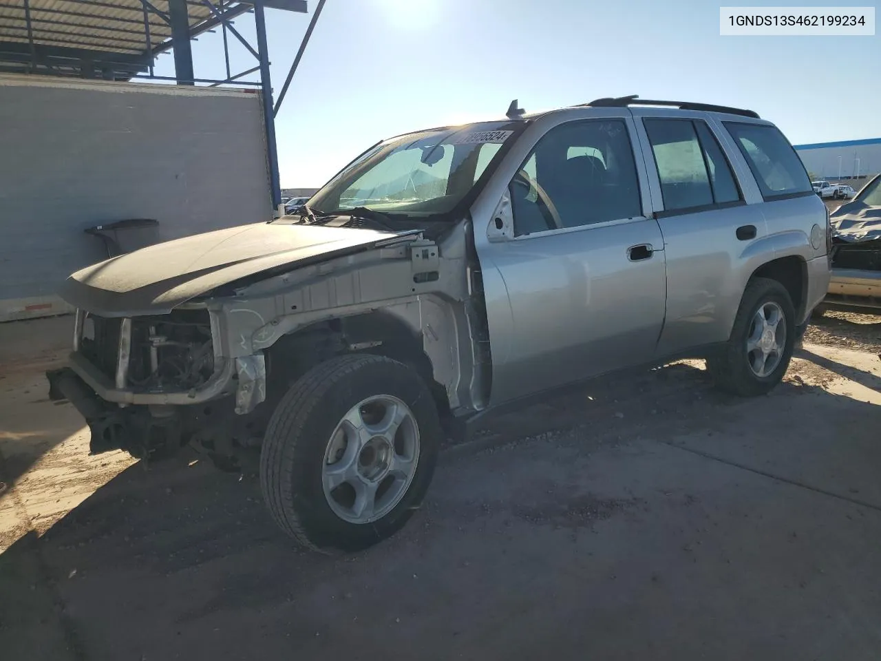 2006 Chevrolet Trailblazer Ls VIN: 1GNDS13S462199234 Lot: 78956524