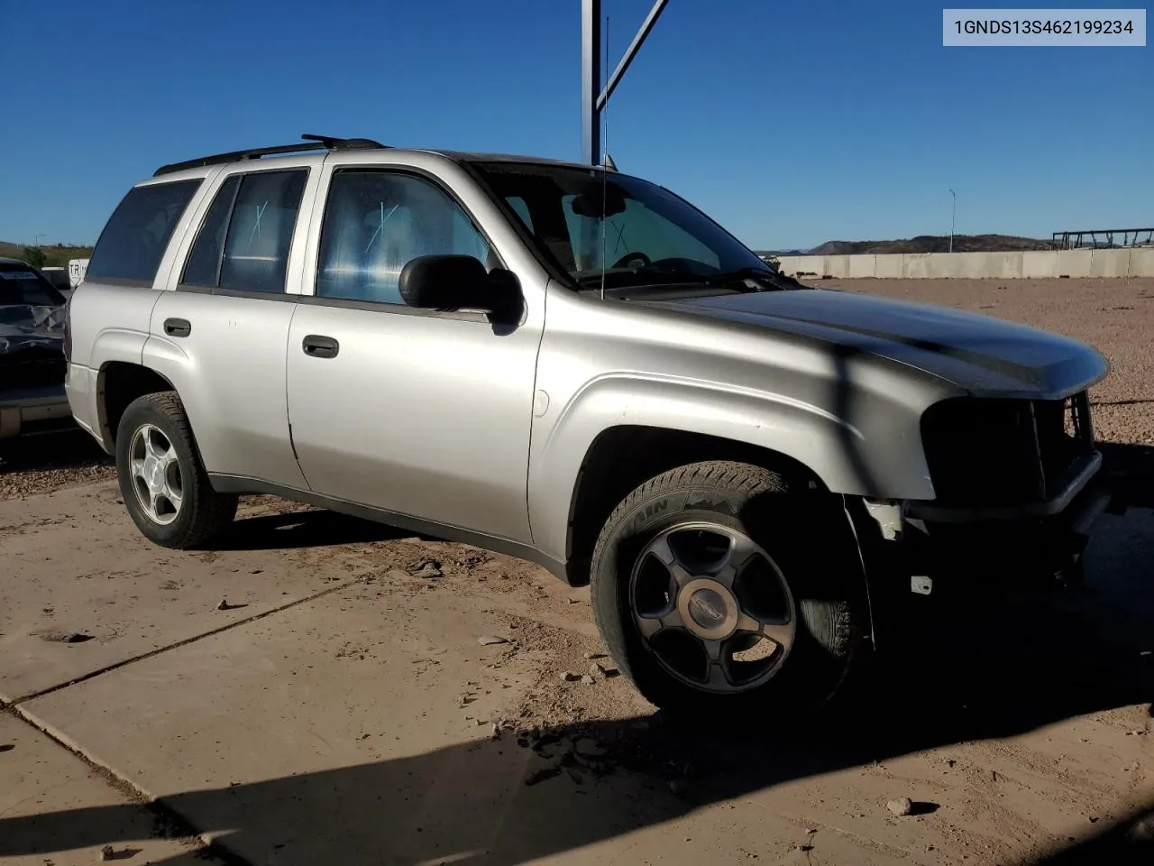 2006 Chevrolet Trailblazer Ls VIN: 1GNDS13S462199234 Lot: 78956524