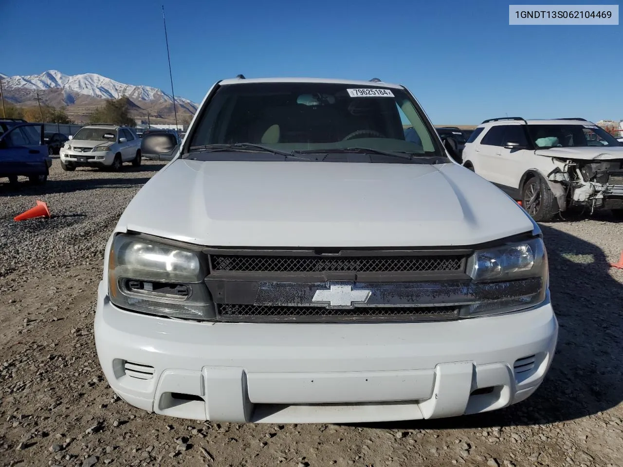 2006 Chevrolet Trailblazer Ls VIN: 1GNDT13S062104469 Lot: 79625184