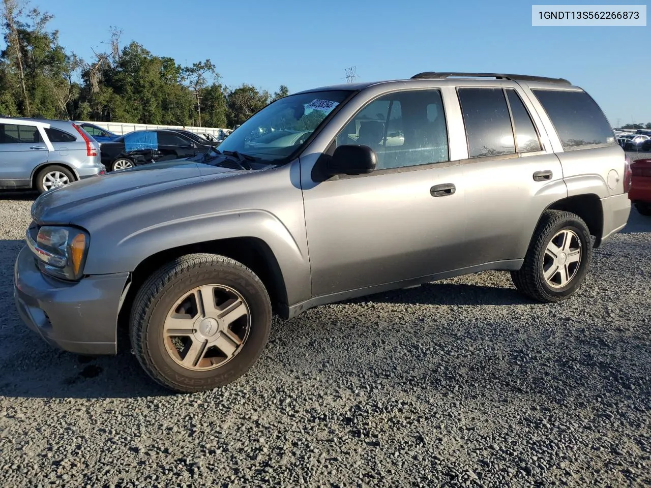 2006 Chevrolet Trailblazer Ls VIN: 1GNDT13S562266873 Lot: 80288264