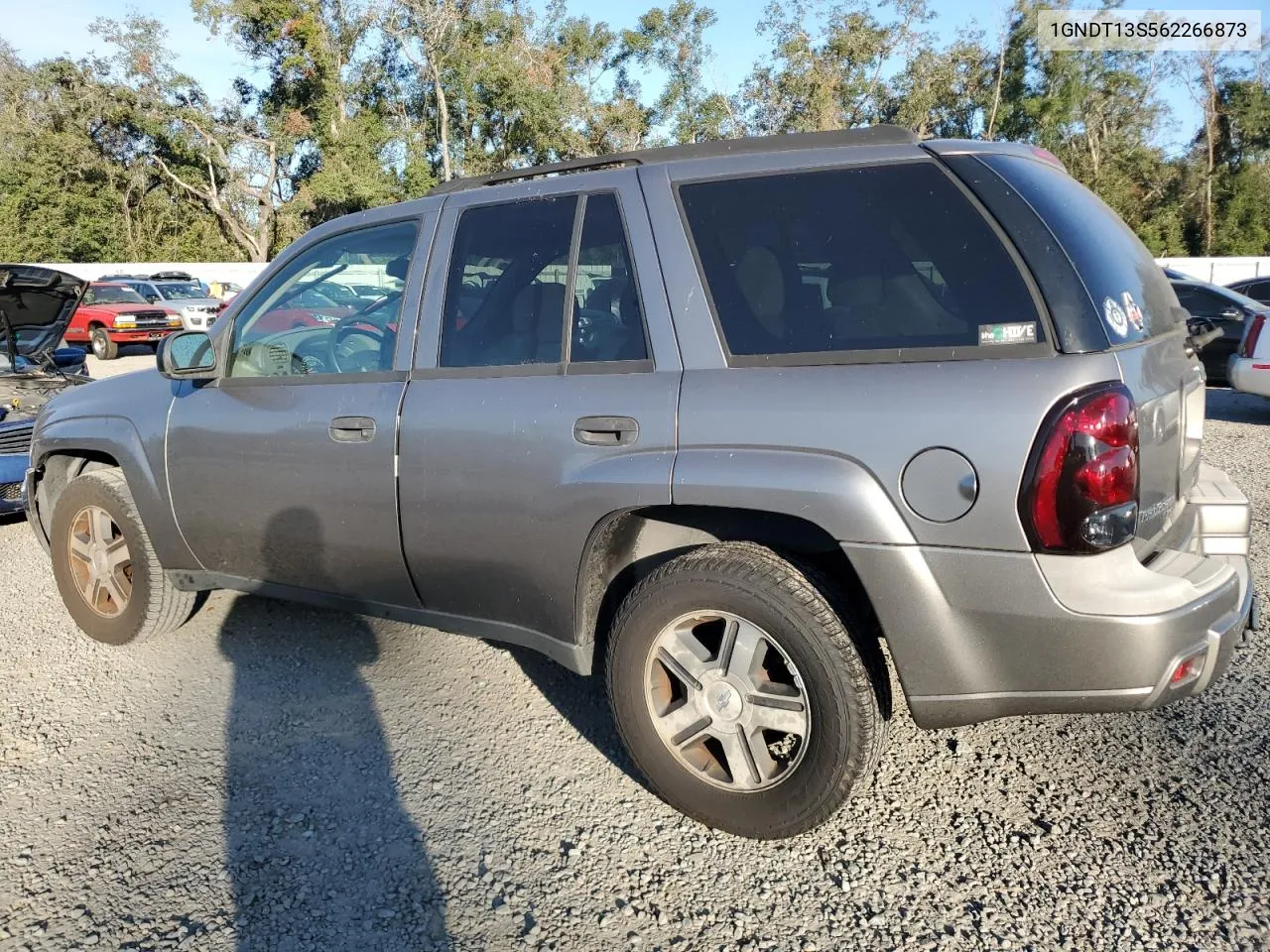 2006 Chevrolet Trailblazer Ls VIN: 1GNDT13S562266873 Lot: 80288264