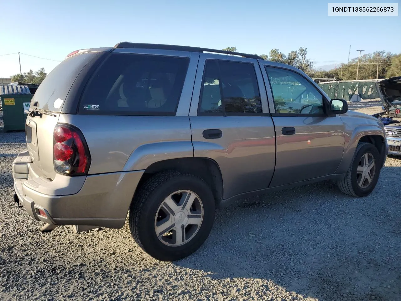 2006 Chevrolet Trailblazer Ls VIN: 1GNDT13S562266873 Lot: 80288264