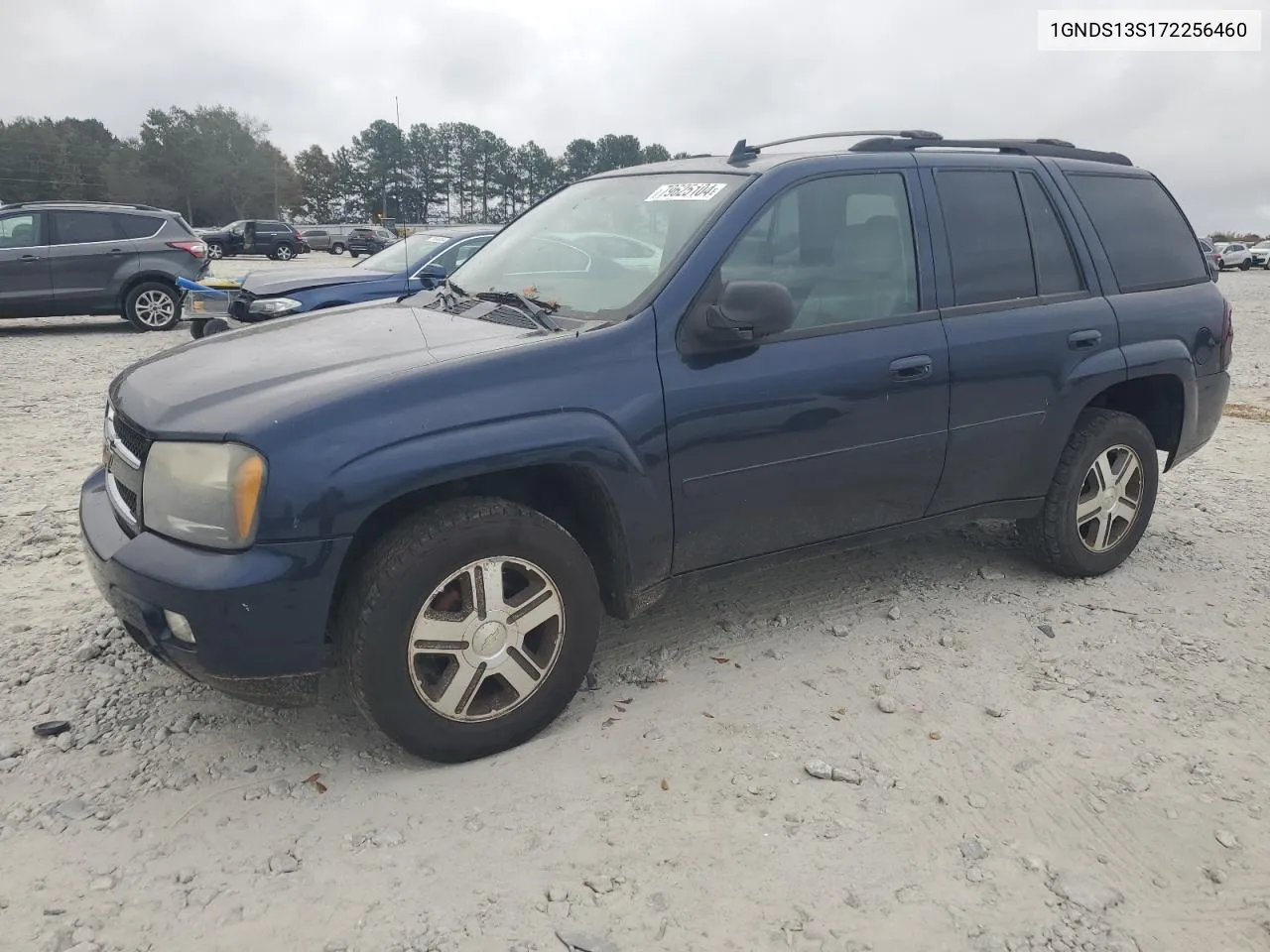 2007 Chevrolet Trailblazer Ls VIN: 1GNDS13S172256460 Lot: 79625104