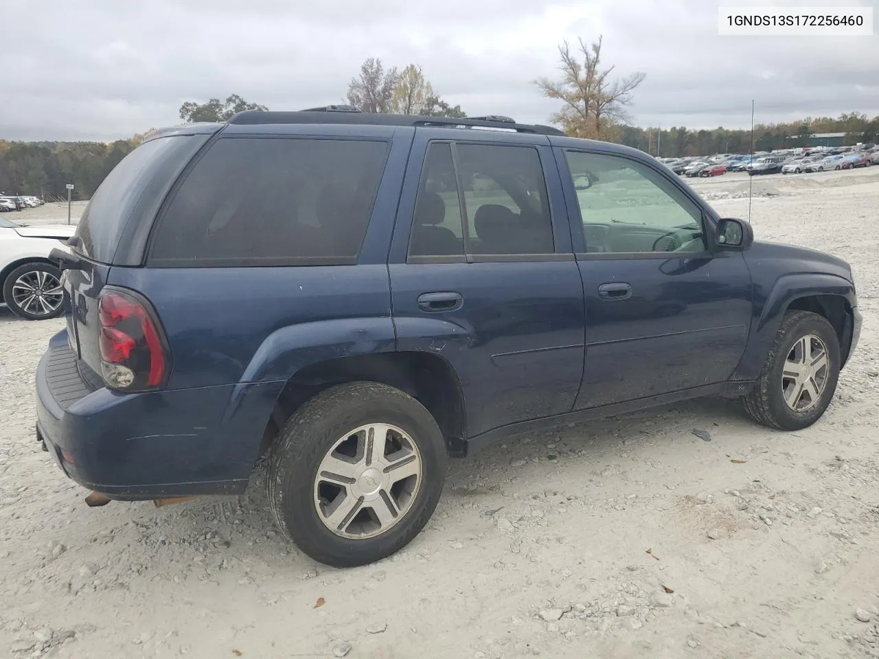 2007 Chevrolet Trailblazer Ls VIN: 1GNDS13S172256460 Lot: 79625104