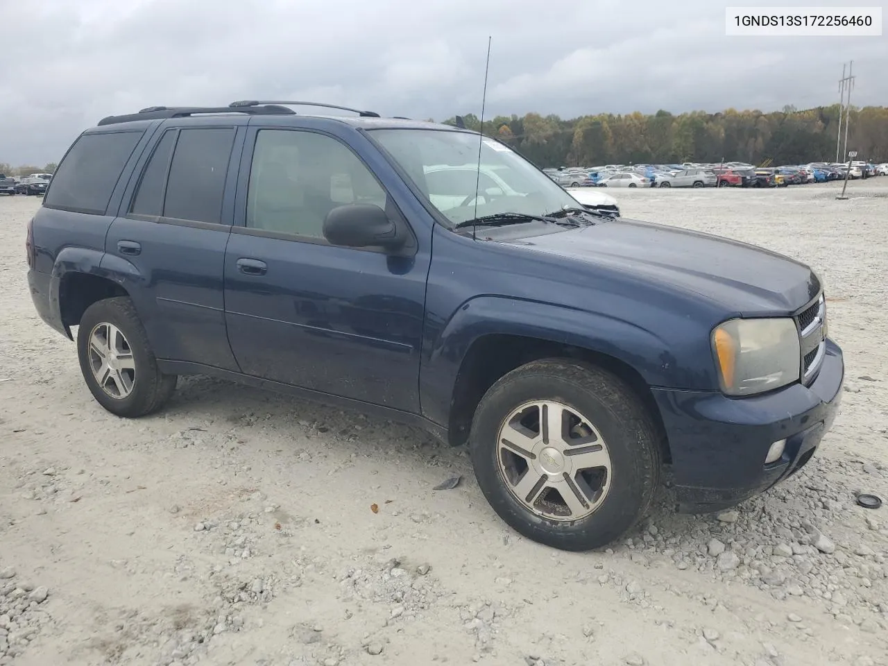 2007 Chevrolet Trailblazer Ls VIN: 1GNDS13S172256460 Lot: 79625104