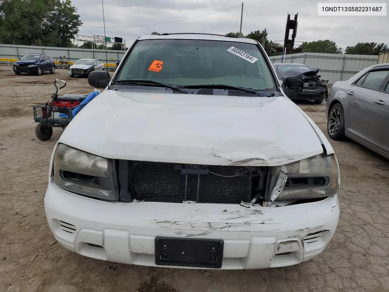 2008 Chevrolet Trailblazer Ls VIN: 1GNDT13S582231687 Lot: 66943164