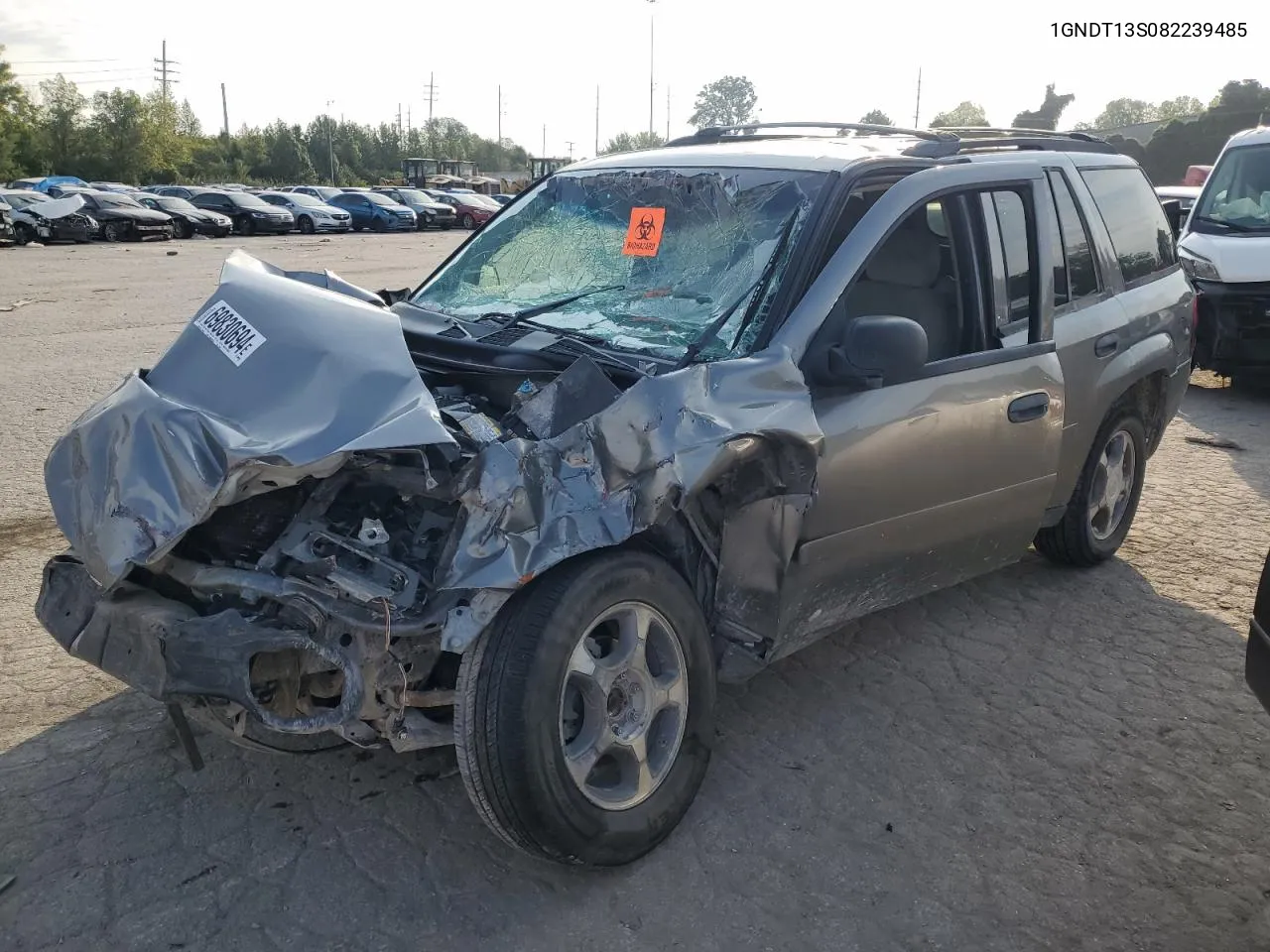 2008 Chevrolet Trailblazer Ls VIN: 1GNDT13S082239485 Lot: 69830694