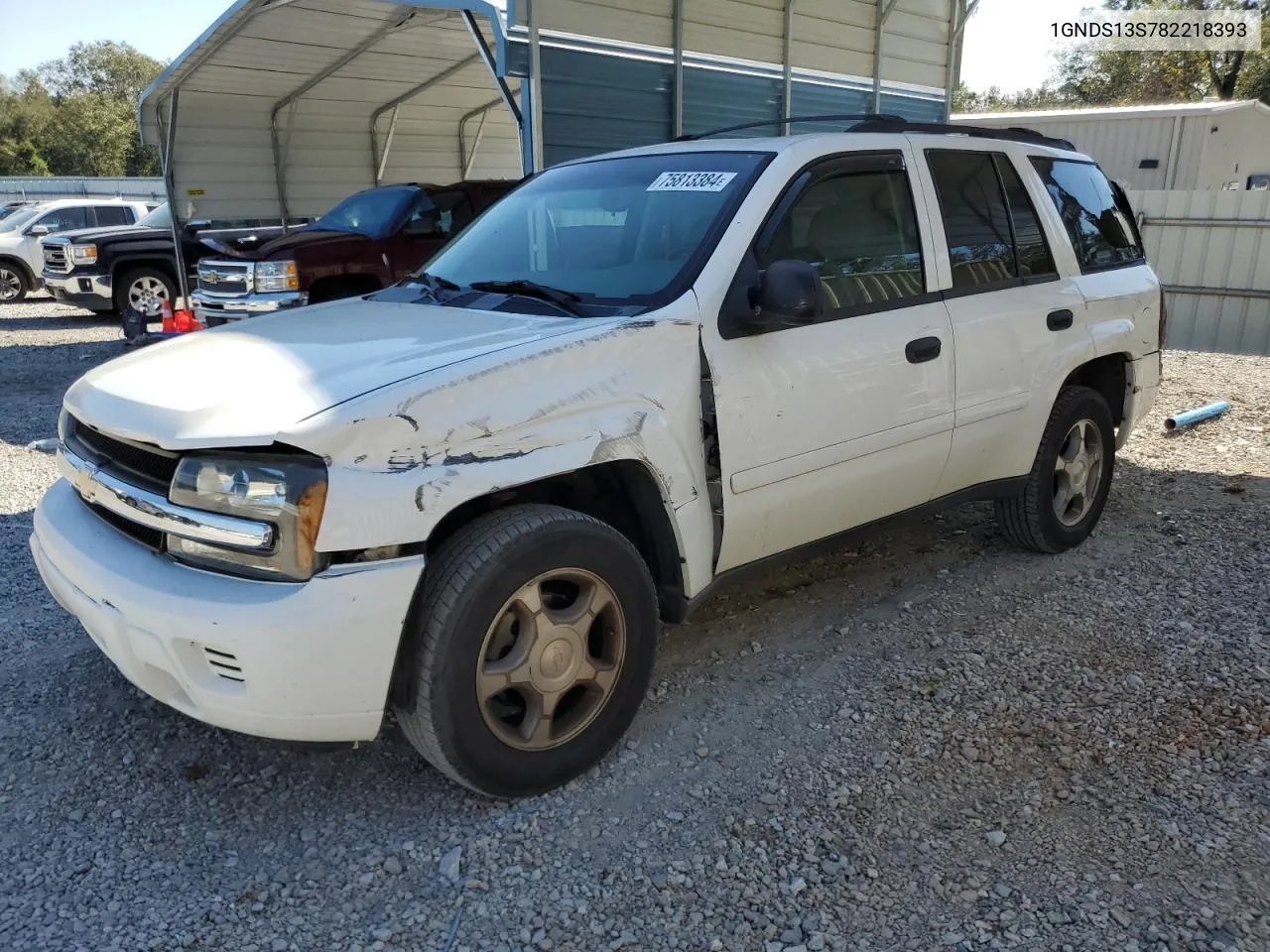 2008 Chevrolet Trailblazer Ls VIN: 1GNDS13S782218393 Lot: 75813384