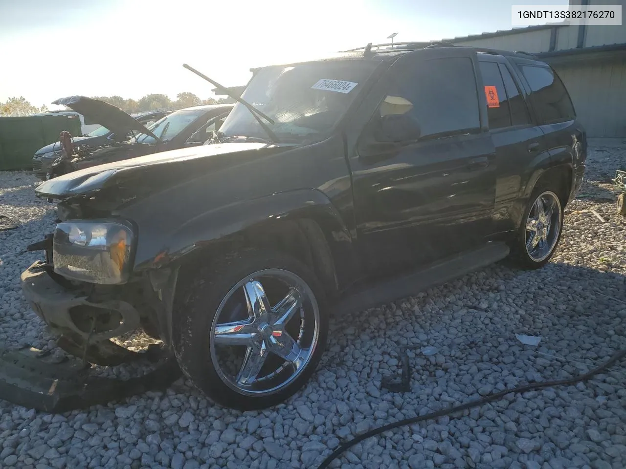 2008 Chevrolet Trailblazer Ls VIN: 1GNDT13S382176270 Lot: 76466024