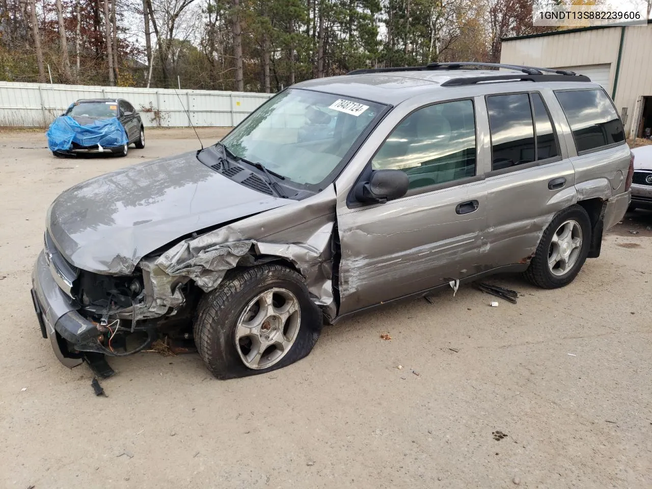 2008 Chevrolet Trailblazer Ls VIN: 1GNDT13S882239606 Lot: 78487124