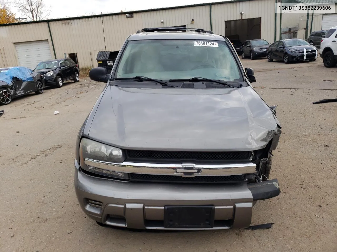 2008 Chevrolet Trailblazer Ls VIN: 1GNDT13S882239606 Lot: 78487124