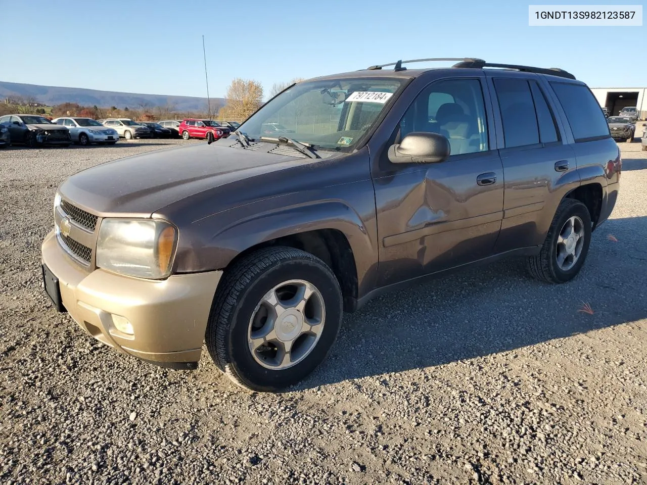 2008 Chevrolet Trailblazer Ls VIN: 1GNDT13S982123587 Lot: 79712184