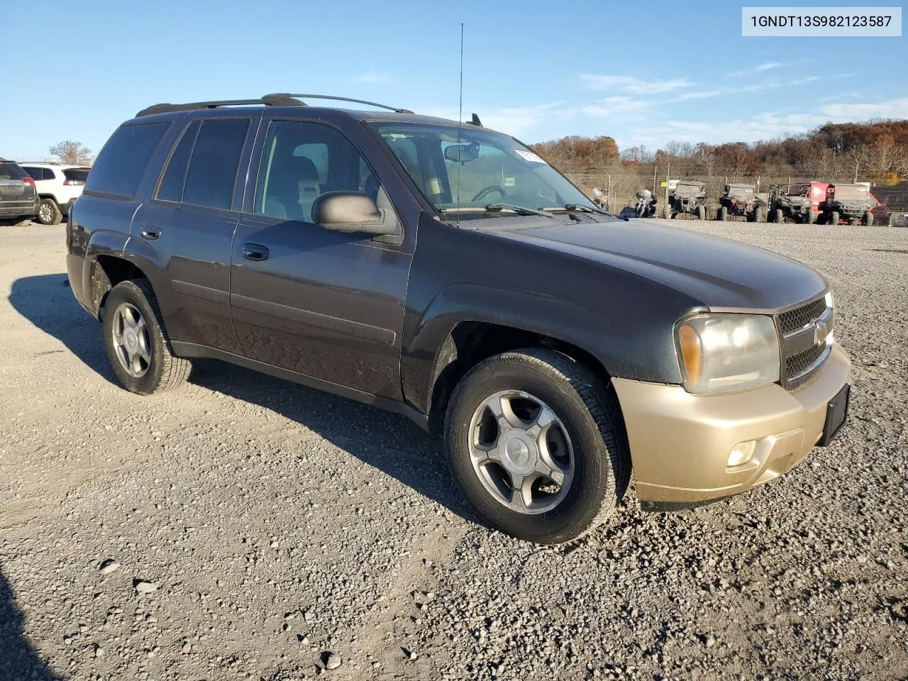 2008 Chevrolet Trailblazer Ls VIN: 1GNDT13S982123587 Lot: 79712184