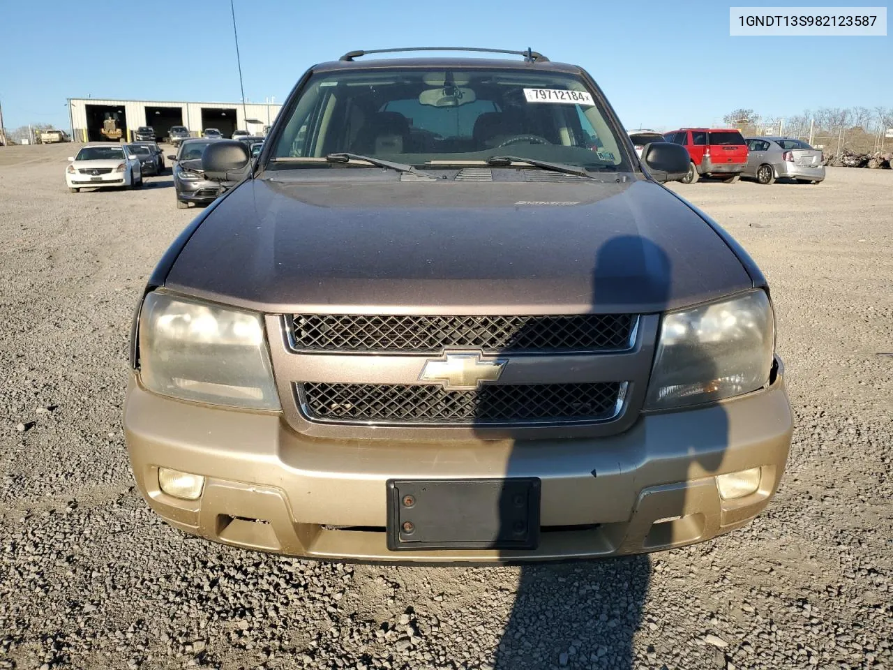 2008 Chevrolet Trailblazer Ls VIN: 1GNDT13S982123587 Lot: 79712184