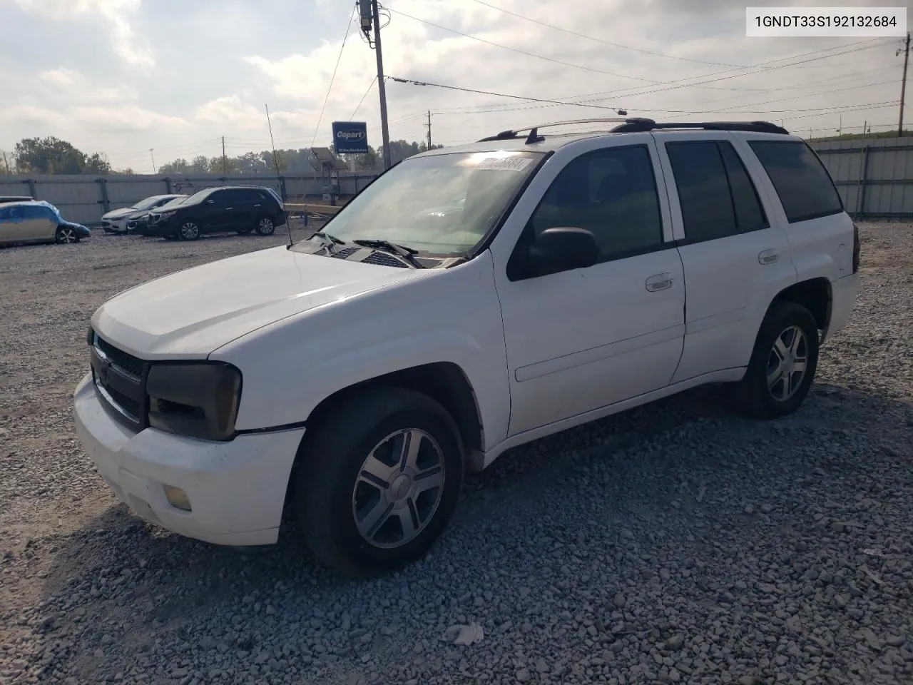 2009 Chevrolet Trailblazer Lt VIN: 1GNDT33S192132684 Lot: 78068884