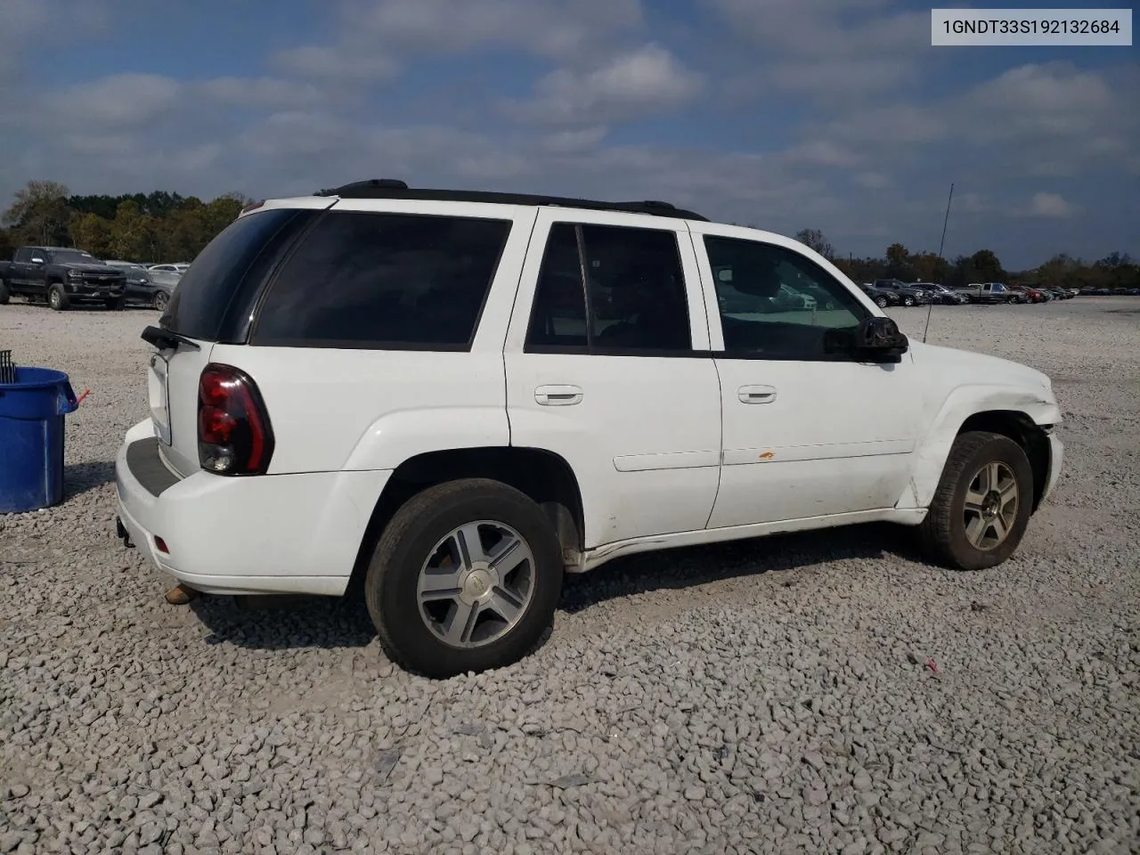 2009 Chevrolet Trailblazer Lt VIN: 1GNDT33S192132684 Lot: 78068884