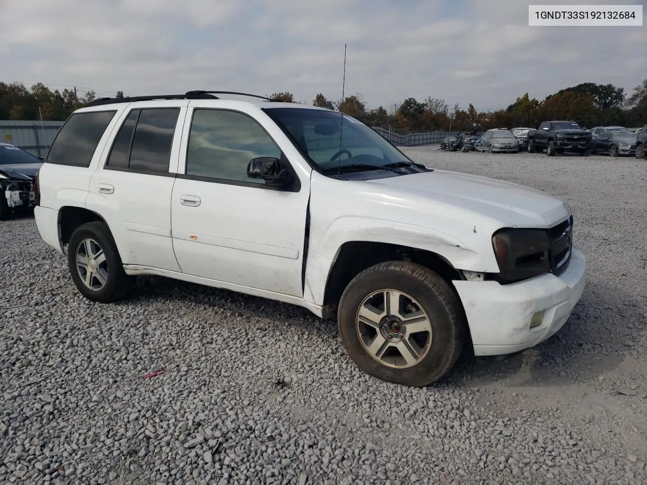 2009 Chevrolet Trailblazer Lt VIN: 1GNDT33S192132684 Lot: 78068884