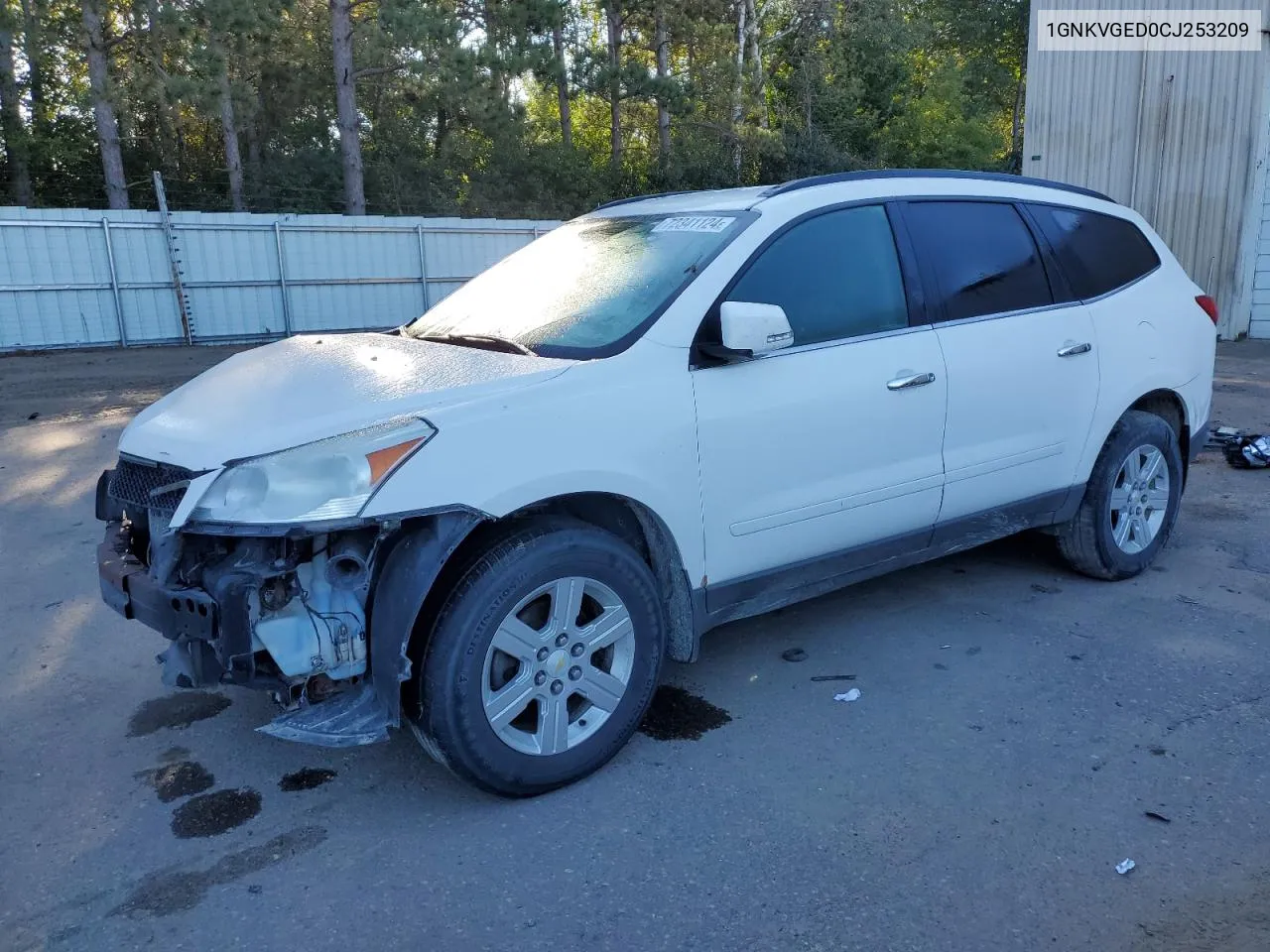 2012 Chevrolet Traverse Lt VIN: 1GNKVGED0CJ253209 Lot: 72341124