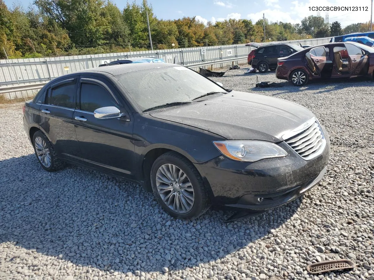 2012 Chrysler 200 Limited VIN: 1C3CCBCB9CN123112 Lot: 76958534