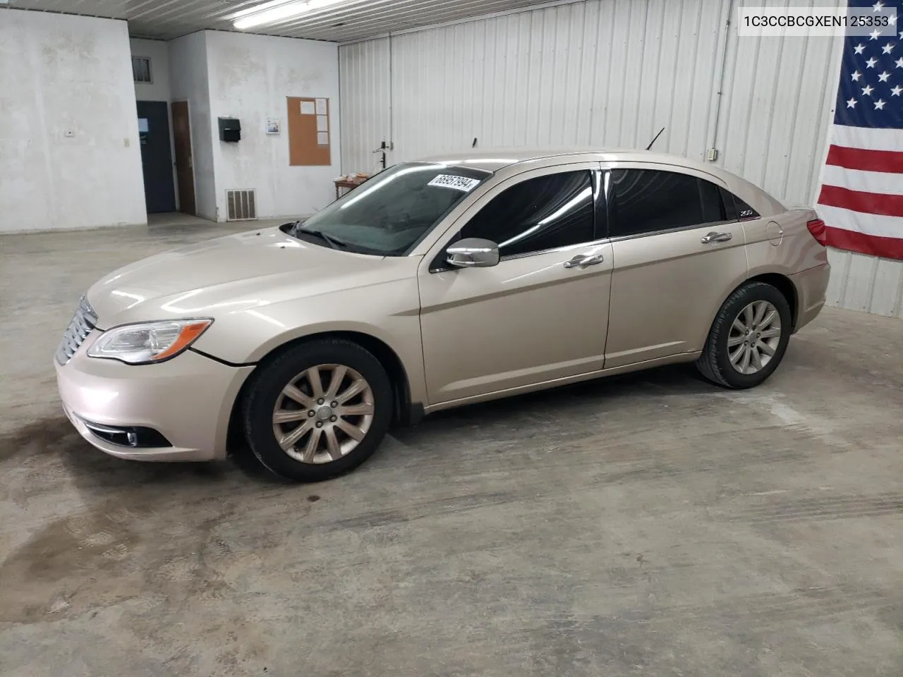 2014 Chrysler 200 Limited VIN: 1C3CCBCGXEN125353 Lot: 66957994