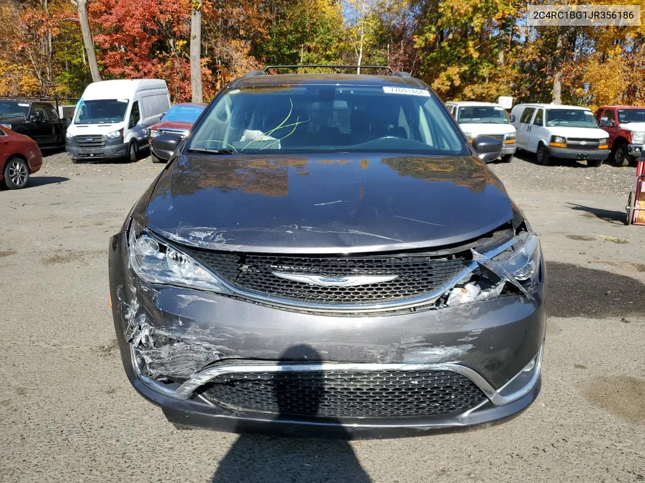 2018 Chrysler Pacifica Touring L VIN: 2C4RC1BG1JR356186 Lot: 77091464