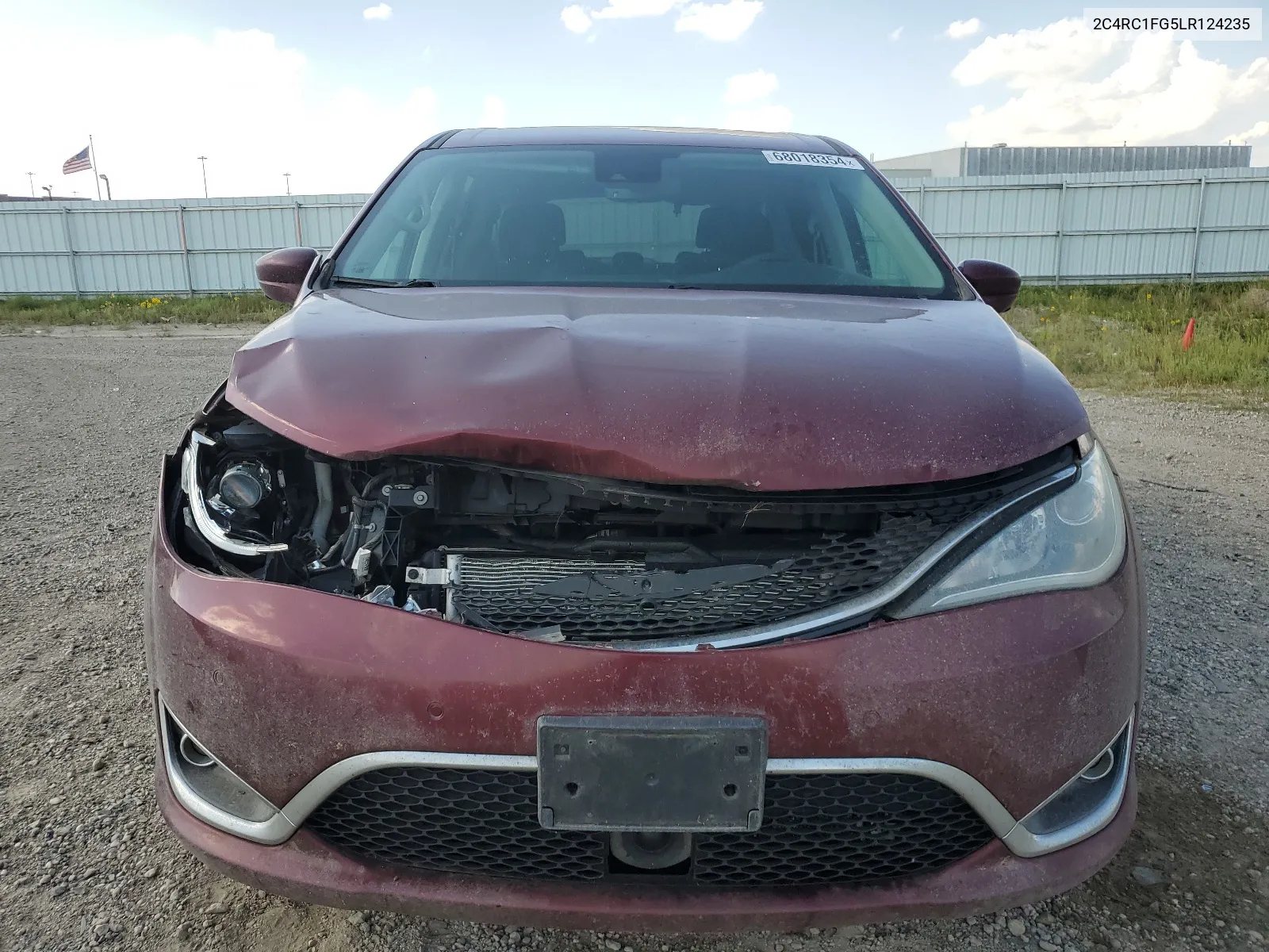 2020 Chrysler Pacifica Touring VIN: 2C4RC1FG5LR124235 Lot: 68018354