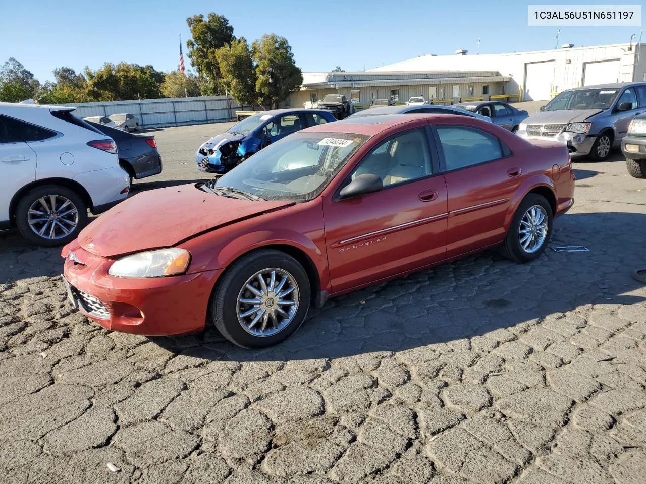 2001 Chrysler Sebring Lxi VIN: 1C3AL56U51N651197 Lot: 74349244