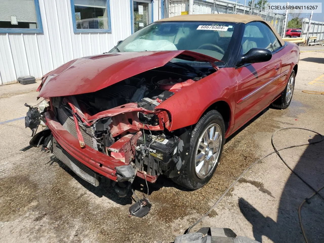 2004 Chrysler Sebring Limited VIN: 1C3EL65R94N116267 Lot: 68676504