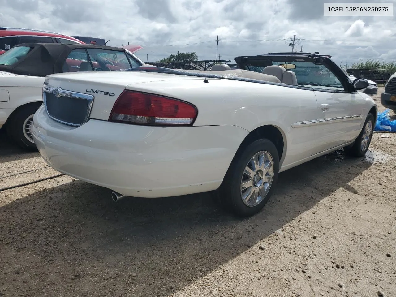 2006 Chrysler Sebring Limited VIN: 1C3EL65R56N250275 Lot: 74702064