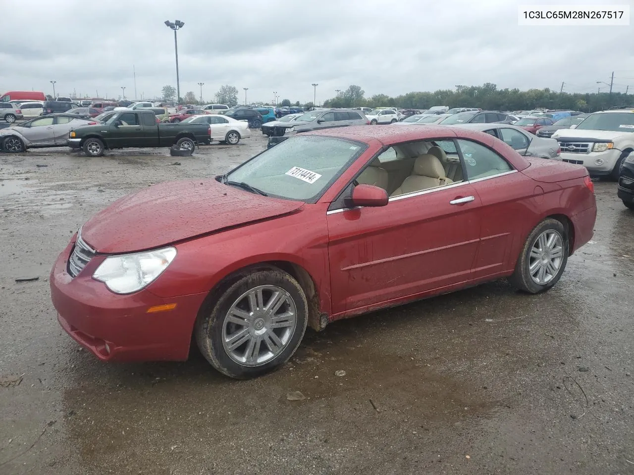 2008 Chrysler Sebring Limited VIN: 1C3LC65M28N267517 Lot: 73114414