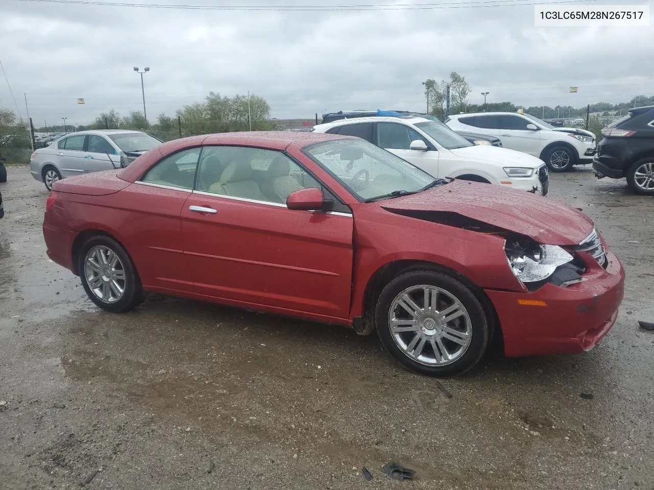 2008 Chrysler Sebring Limited VIN: 1C3LC65M28N267517 Lot: 73114414