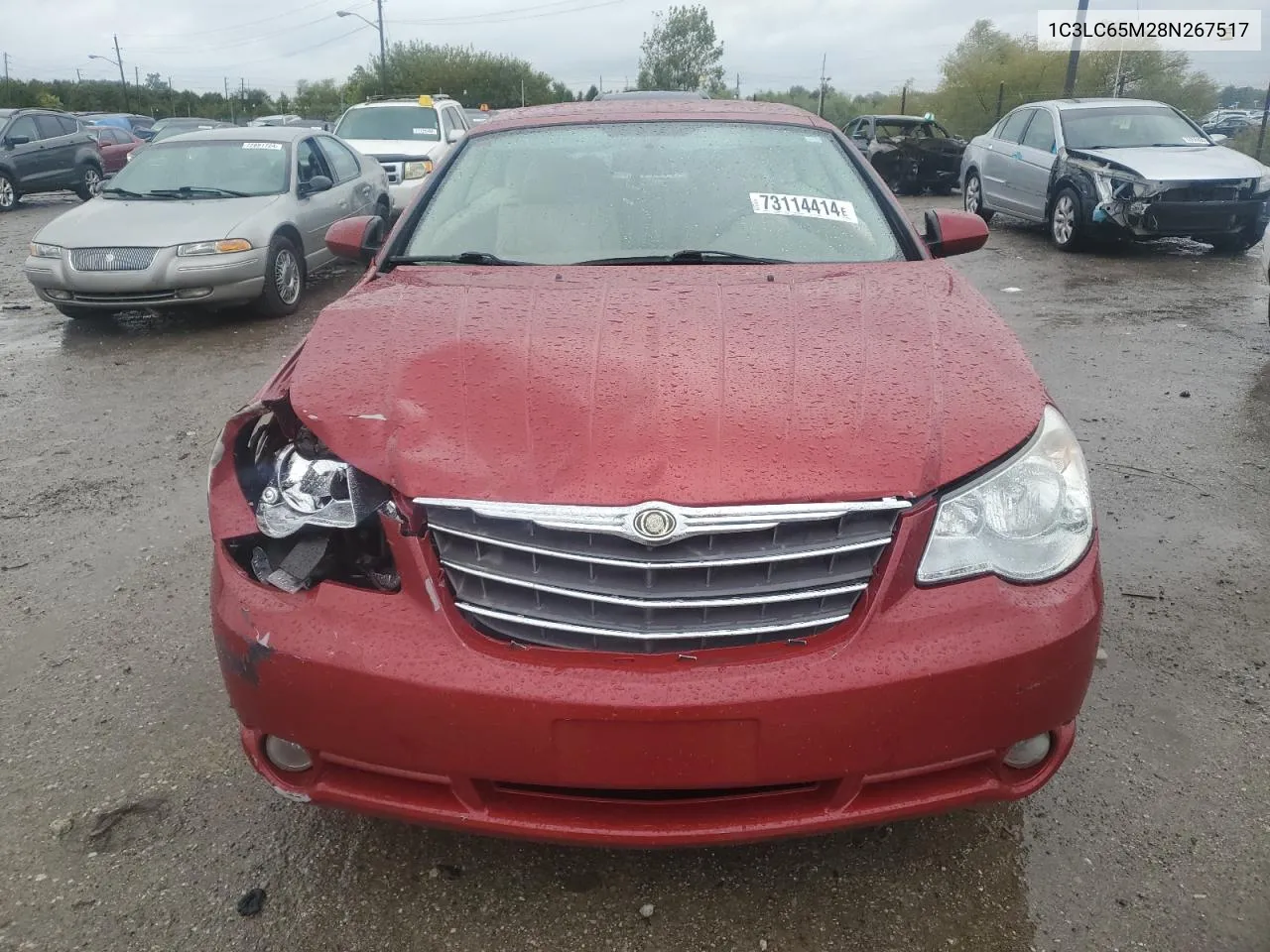 2008 Chrysler Sebring Limited VIN: 1C3LC65M28N267517 Lot: 73114414