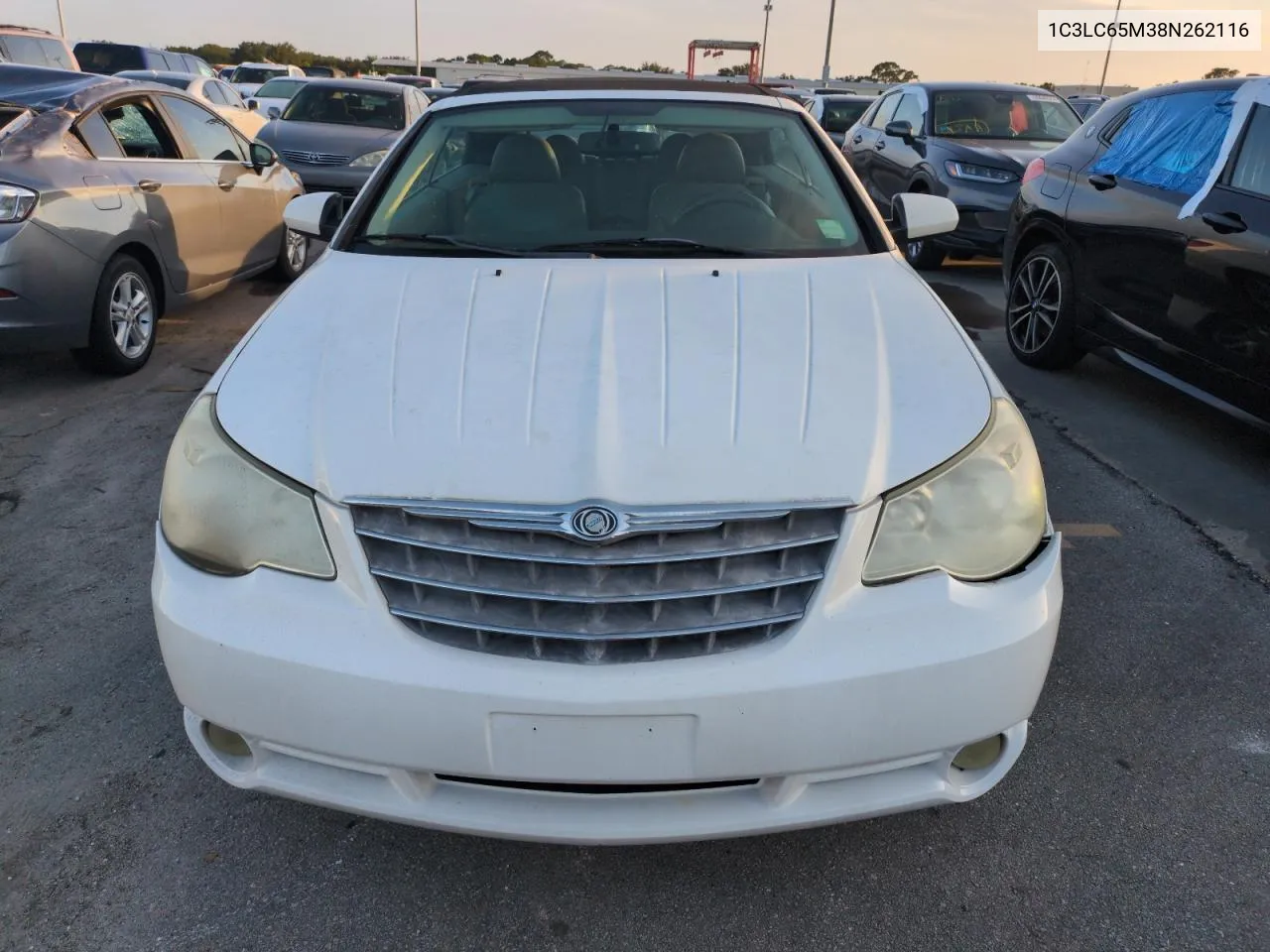 2008 Chrysler Sebring Limited VIN: 1C3LC65M38N262116 Lot: 75097654