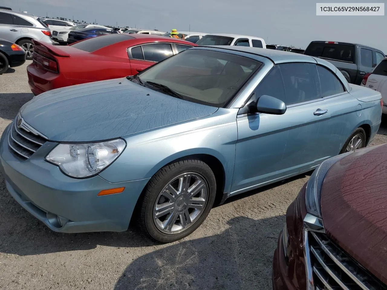 2009 Chrysler Sebring Limited VIN: 1C3LC65V29N568427 Lot: 76250754