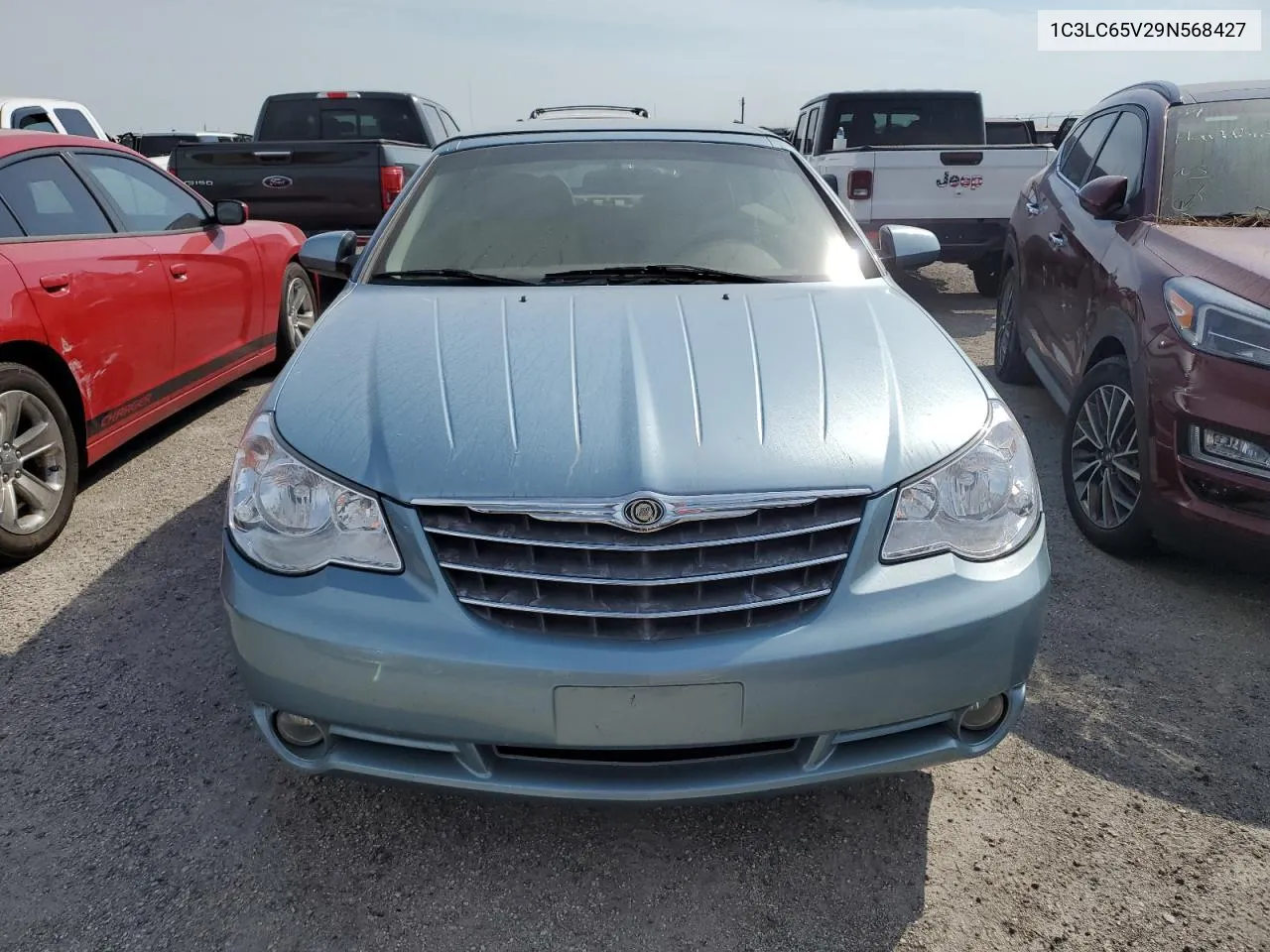 2009 Chrysler Sebring Limited VIN: 1C3LC65V29N568427 Lot: 76250754