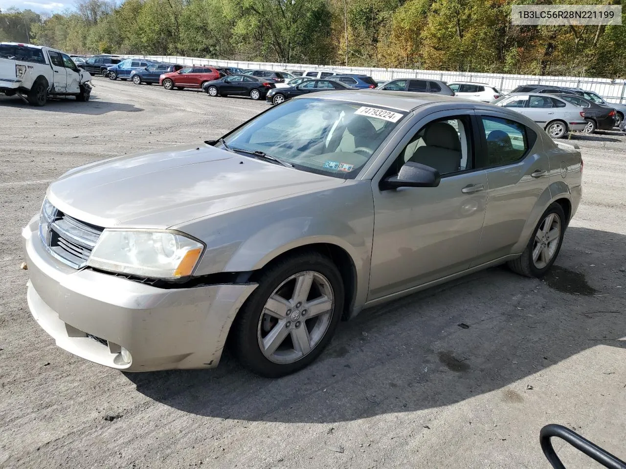 2008 Dodge Avenger Sxt VIN: 1B3LC56R28N221199 Lot: 74793224