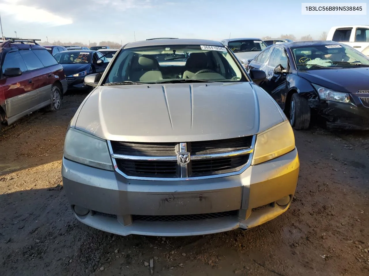 2009 Dodge Avenger Sxt VIN: 1B3LC56B89N538845 Lot: 63242834