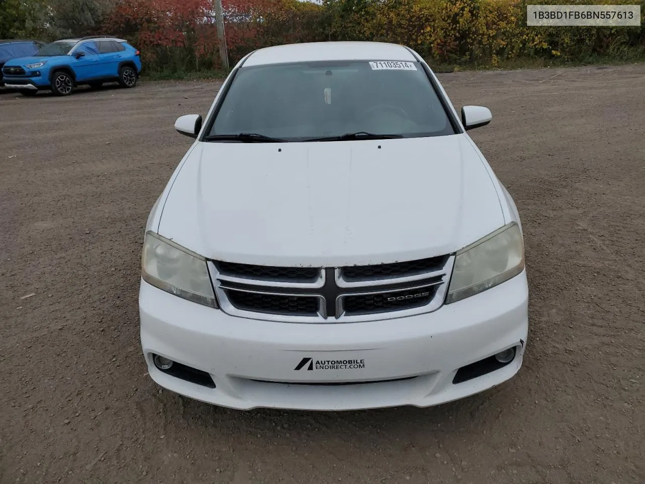 2011 Dodge Avenger Mainstreet VIN: 1B3BD1FB6BN557613 Lot: 71103514