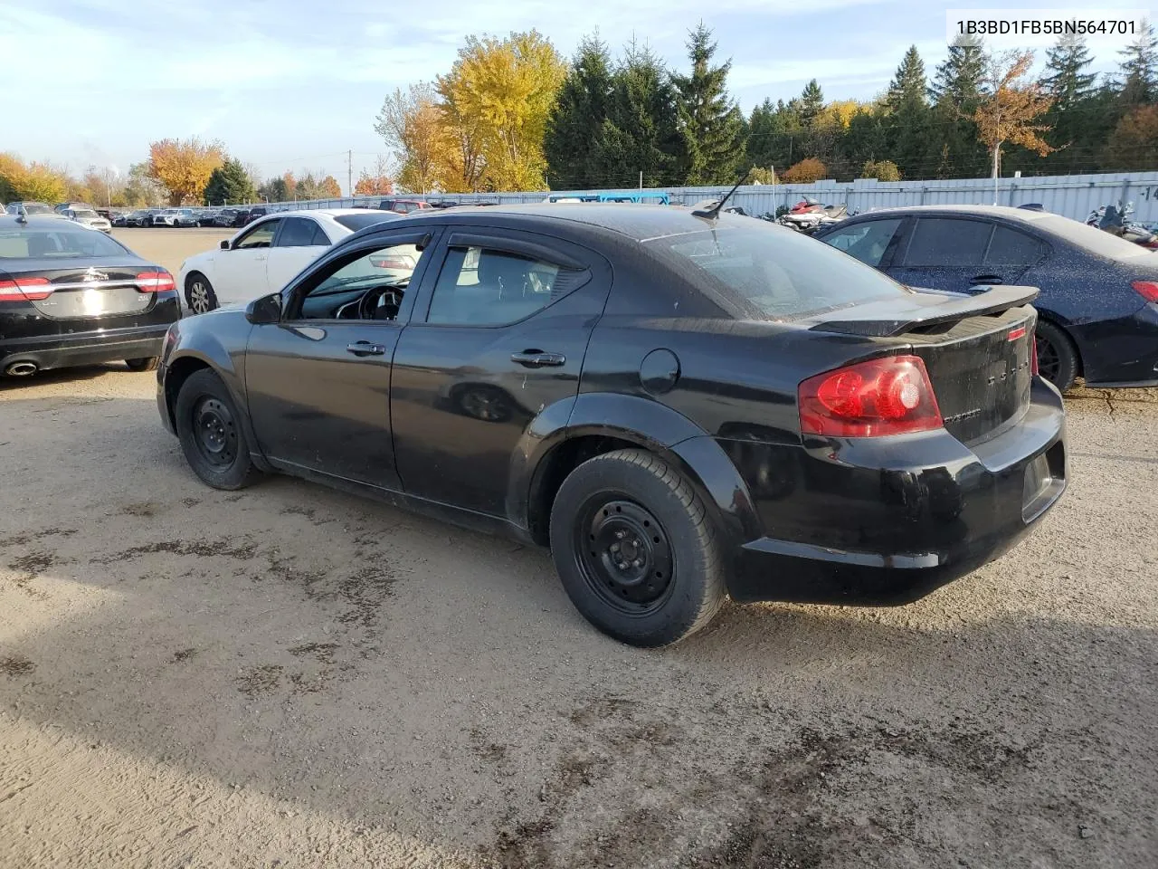 2011 Dodge Avenger Mainstreet VIN: 1B3BD1FB5BN564701 Lot: 77523654