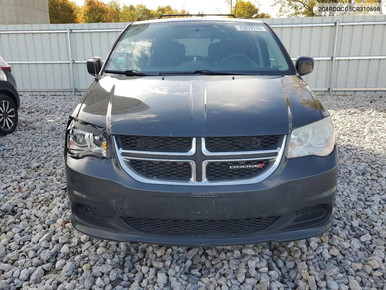 2012 Dodge Grand Caravan Sxt VIN: 2C4RDGCG5CR310698 Lot: 75870774