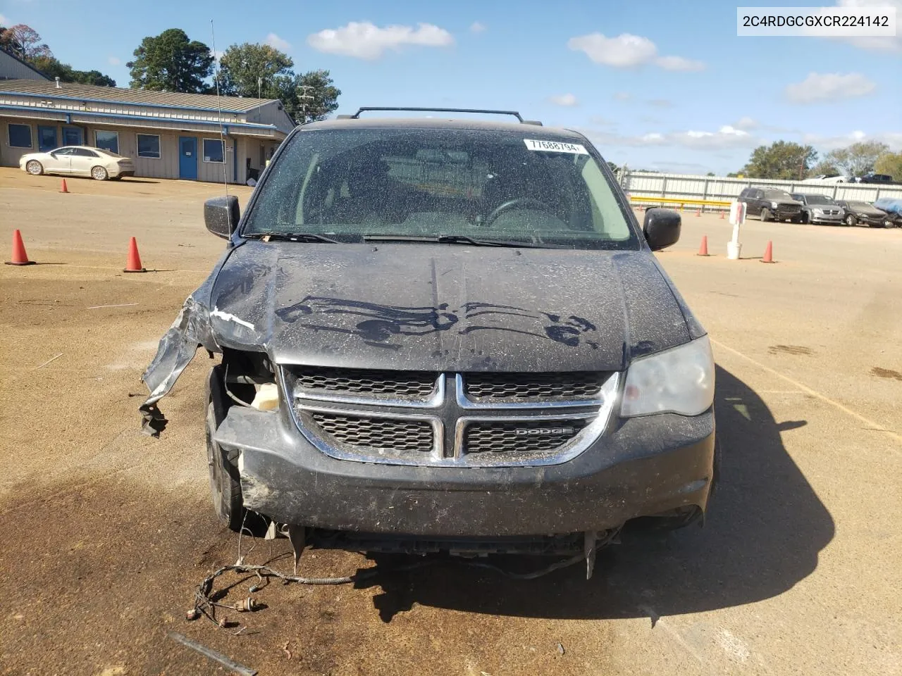 2012 Dodge Grand Caravan Sxt VIN: 2C4RDGCGXCR224142 Lot: 77688794