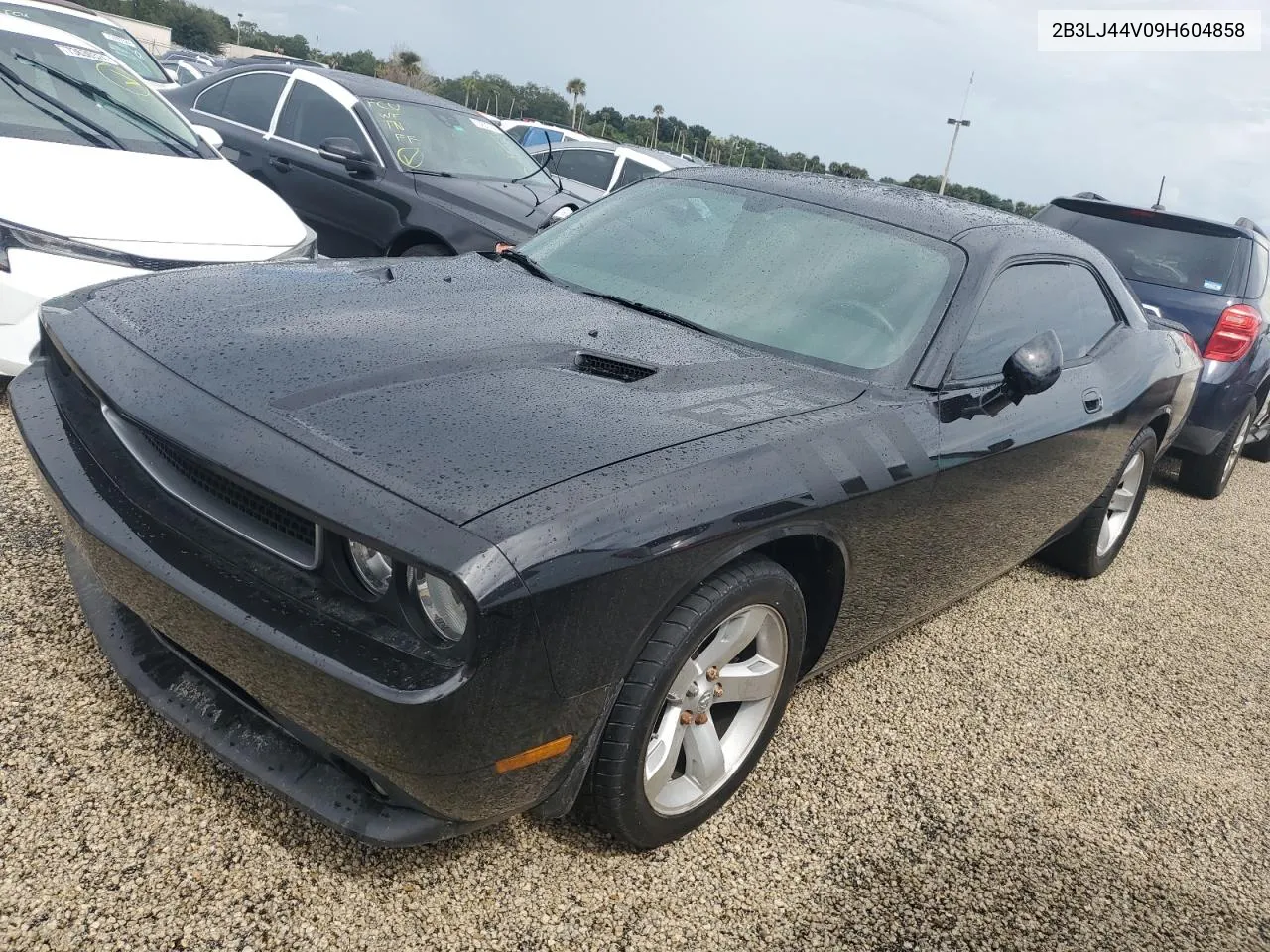 2009 Dodge Challenger Se VIN: 2B3LJ44V09H604858 Lot: 74292034