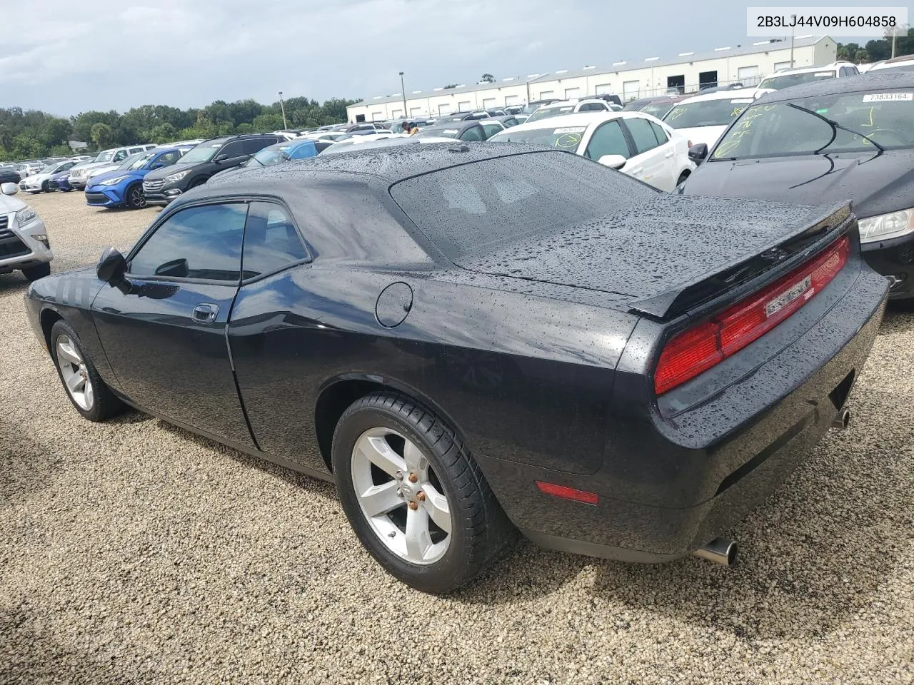 2009 Dodge Challenger Se VIN: 2B3LJ44V09H604858 Lot: 74292034