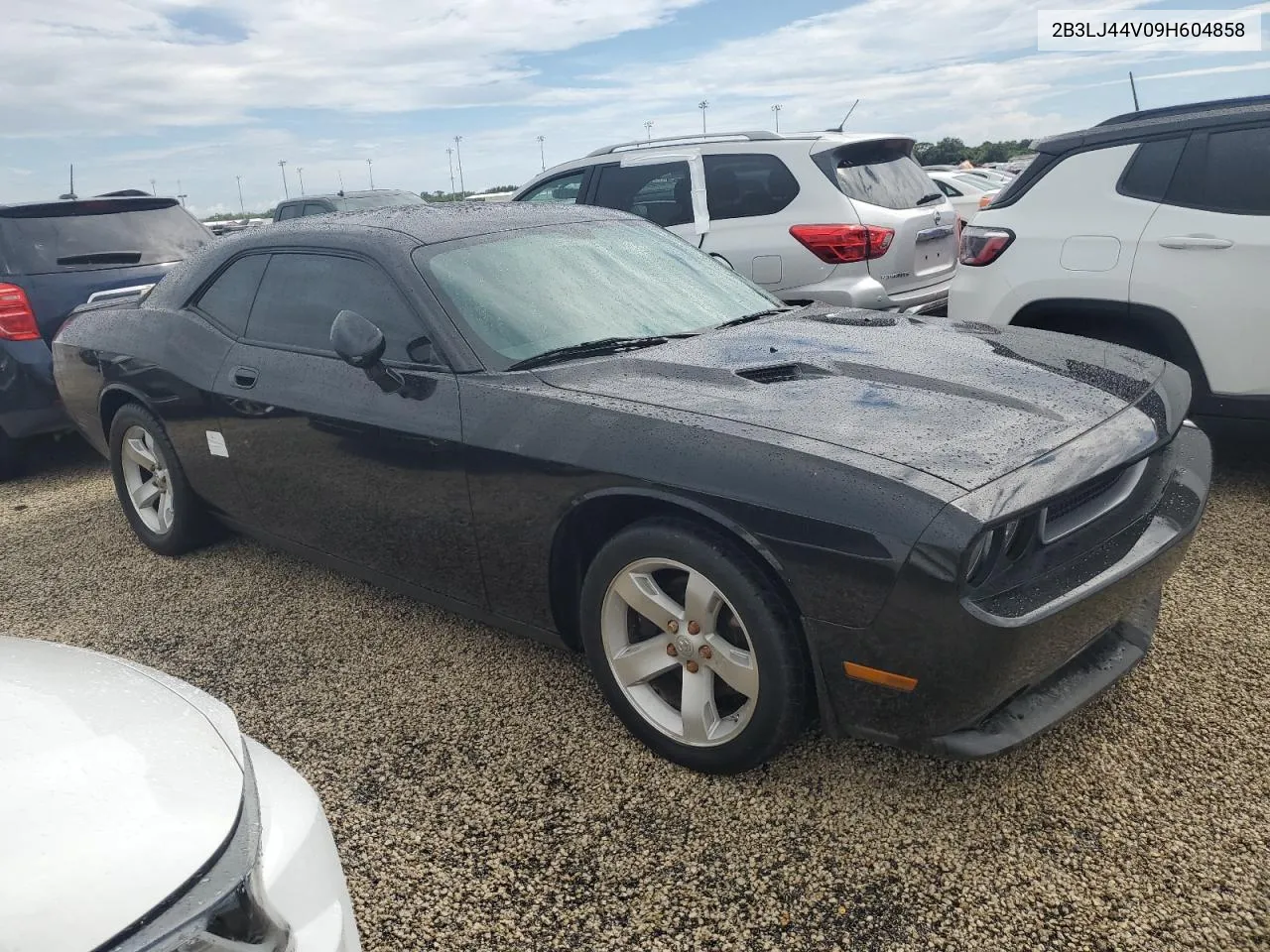 2009 Dodge Challenger Se VIN: 2B3LJ44V09H604858 Lot: 74292034