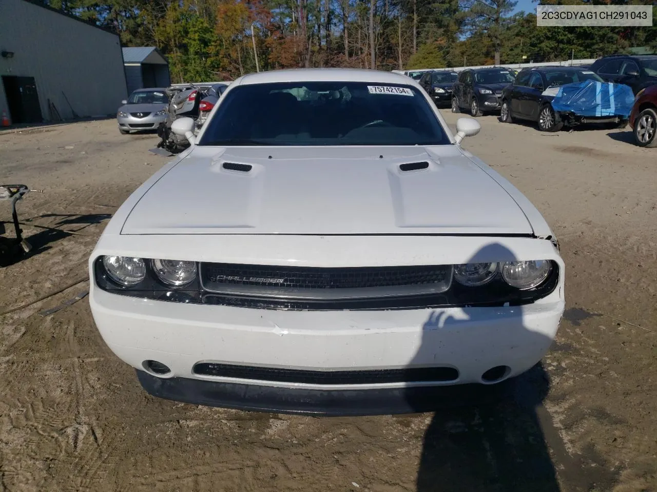 2012 Dodge Challenger Sxt VIN: 2C3CDYAG1CH291043 Lot: 75742154