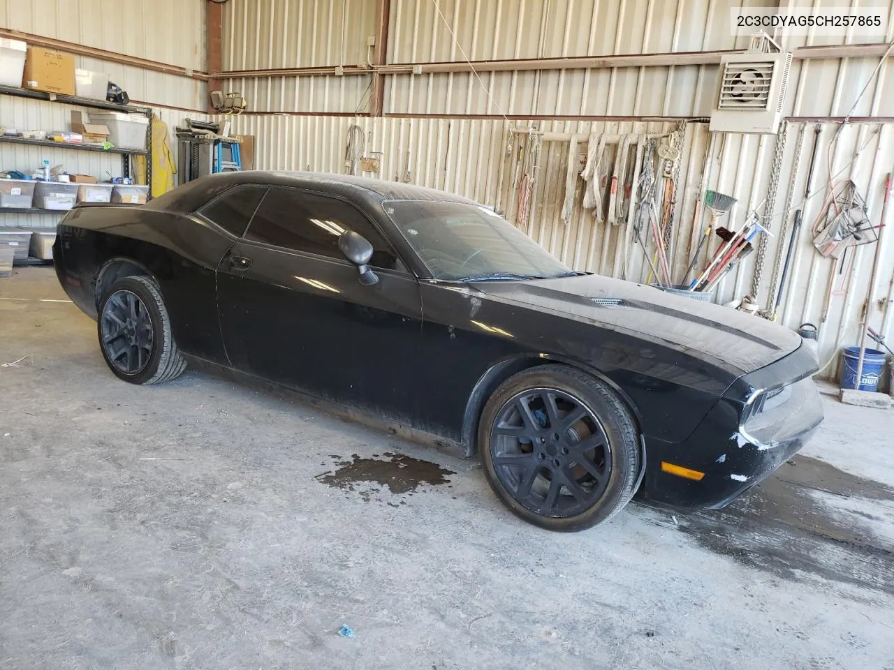 2012 Dodge Challenger Sxt VIN: 2C3CDYAG5CH257865 Lot: 77121084