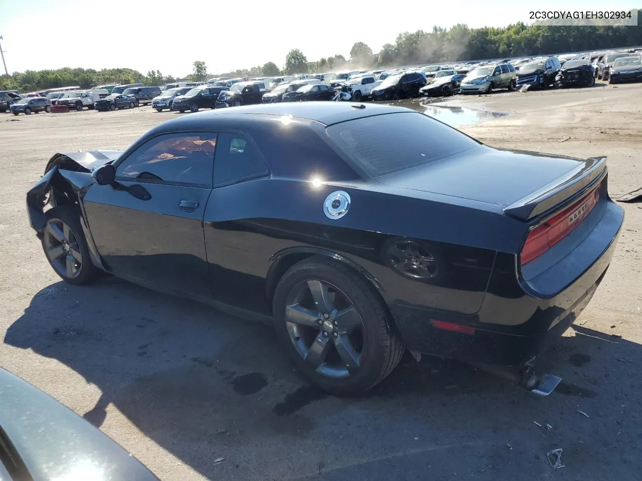 2014 Dodge Challenger Sxt VIN: 2C3CDYAG1EH302934 Lot: 69965104