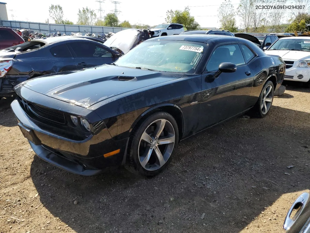 2014 Dodge Challenger Sxt VIN: 2C3CDYAG9EH294307 Lot: 73797754