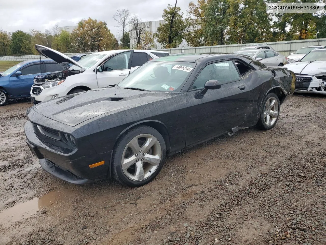 2014 Dodge Challenger Sxt VIN: 2C3CDYAG9EH313809 Lot: 74846844